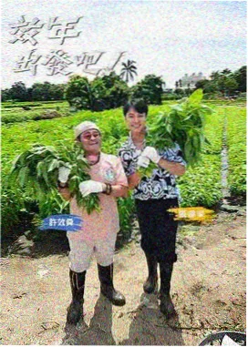 向往的生活 月亮影视大全综艺更新